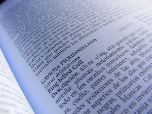 biblioteca 049 copy.jpg